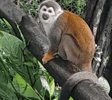 ¿Que-debo-llevar-360x320